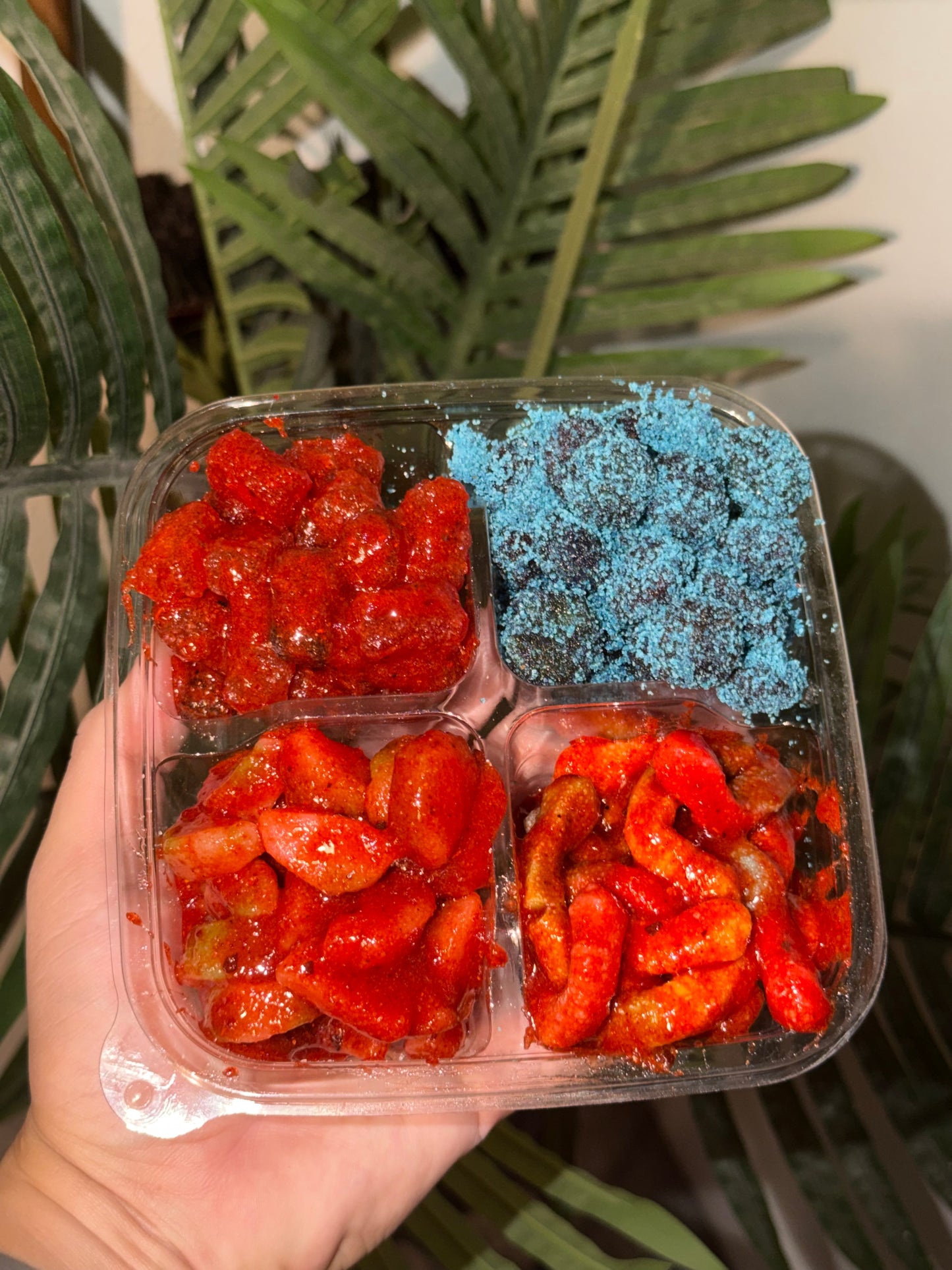 Bento Box