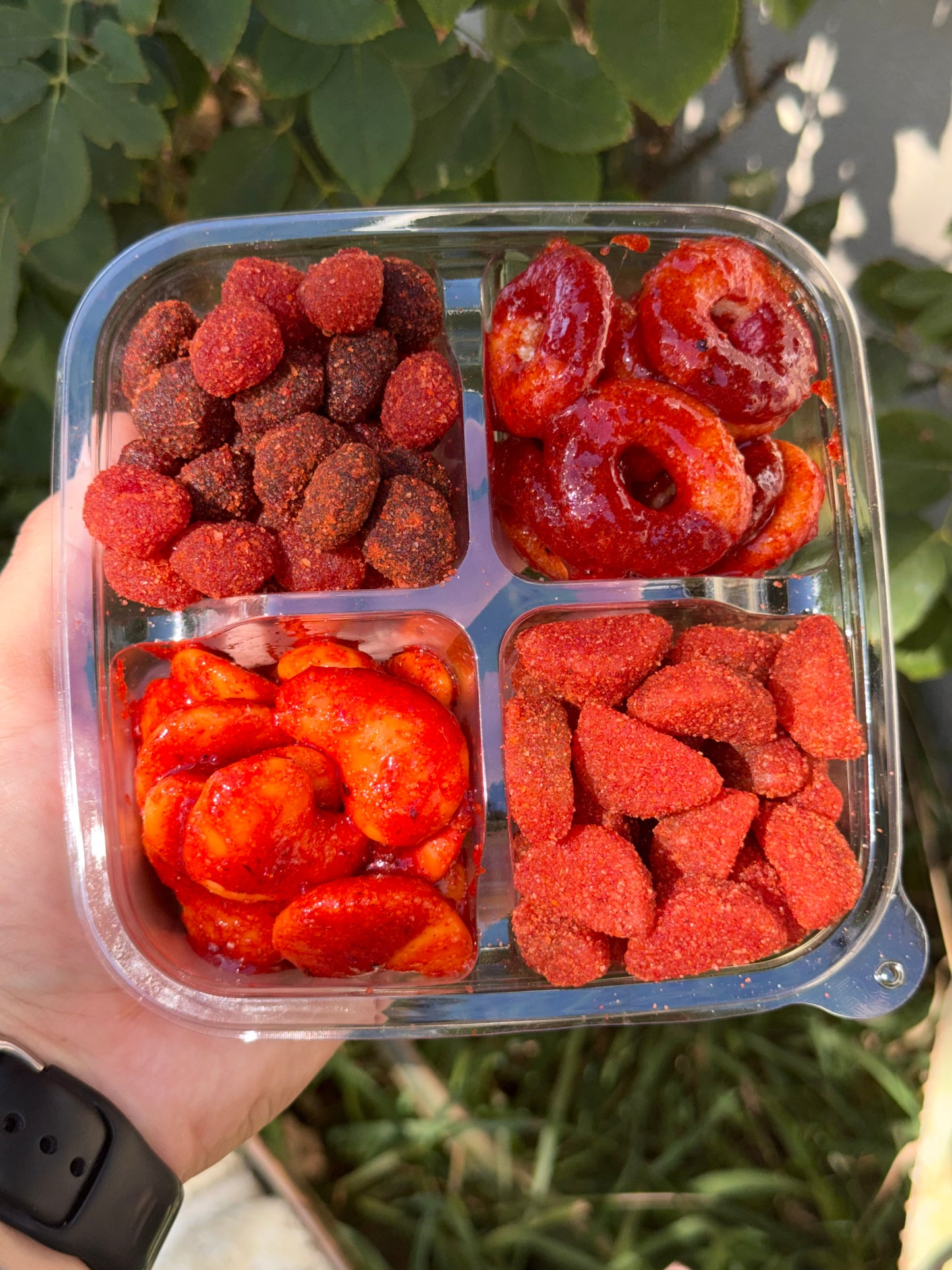 Bento Box